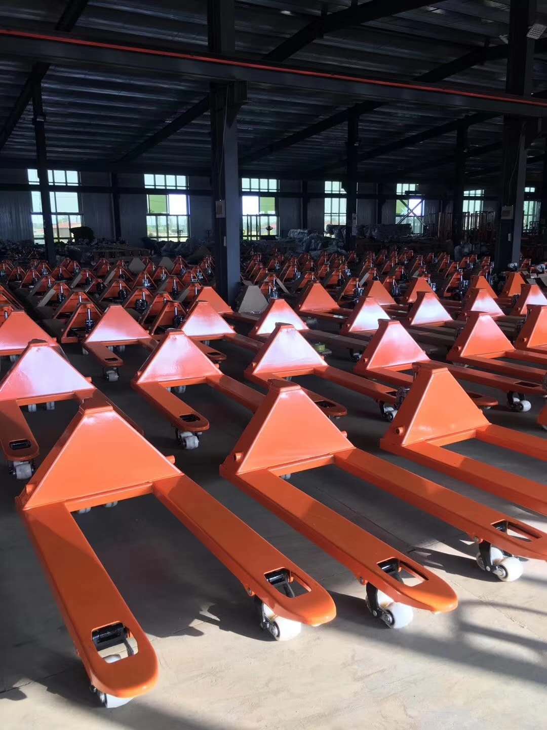 Hydraulische handpallettruck 3 - Hand Pallet Truck recensie en prijs